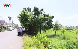 Rốt ráo giải phóng mặt bằng dự án đường sắt Hải Phòng - Hà Nội - Lào Cai