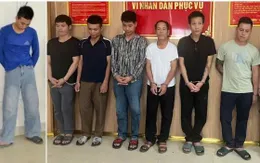 Công an Nghệ An triệt xóa ổ nhóm trộm và tiêu thụ hơn 2 tấn chó