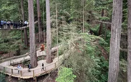 Một ngày lơ lửng trên cầu treo Capilano