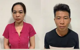 Thanh Hóa: Tạm giữ 4 đối tượng gom lợn mắc dịch tả lợn châu Phi bán ra thị trường