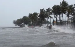 Nhiều khu vực biển có gió giật mạnh, sóng cao
