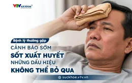 Cảnh báo sớm sốt xuất huyết - Những dấu hiệu không thể bỏ qua