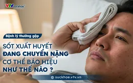 Sốt xuất huyết đang chuyển nặng - Cơ thể báo hiệu như thế nào?