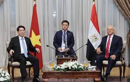 Chủ tịch nước Lương Cường hội kiến Chủ tịch Hạ viện Ai Cập