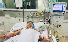 Người trẻ vẫn có thể tử vong vì sốt xuất huyết nếu đến viện muộn