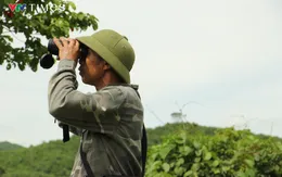 Nhọc nhằn nghề săn ong giữa đại ngàn xứ Thanh