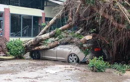 Mưa to kèm dông lốc gây nhiều thiệt hại tại Lâm Đồng