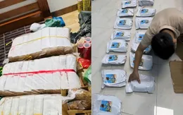 Triệt phá đường dây mua bán “cỏ Mỹ” lớn nhất từ trước đến nay ở Đà Nẵng