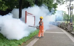 Trung Quốc: Dịch sốt chikungunya tại Quảng Đông giảm nhưng nguy cơ vẫn hiện hữu