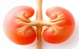 Đi khám vì sụt cân, bé trai được phát hiện hội chứng kẹp hạt dẻ