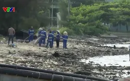 Rác và xà bần bủa vây vịnh Mân Quang