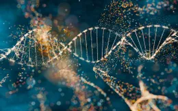 ADN virus cổ đại có thể ảnh hưởng quá trình tiến hóa sớm của con người