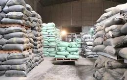 Kiến nghị gỡ khó cho xuất khẩu gạo