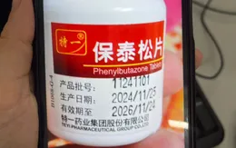 Cảnh báo khẩn: Phenylbutazone gây sốc dị ứng, suy đa tạng - tuyệt đối không tự ý dùng
