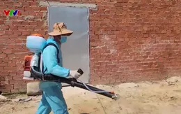 Dịch tả lợn châu Phi lan rộng, xã miền núi lập đội xung kích dập dịch