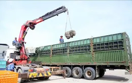 Xử phạt lái xe và doanh nghiệp vượt 400% tải trọng