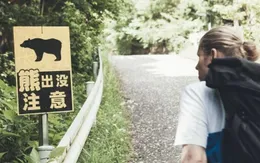 Người đi bộ tử vong vì bị gấu tấn công trong rừng ở Nhật Bản