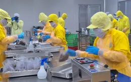 Hà Nội tập trung triển khai Nghị quyết 68 toàn thành phố