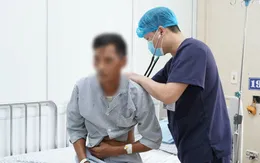Sốc phản vệ do ong đốt gia tăng, nhiều ca nguy kịch