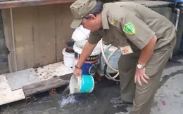 TP Hồ Chí Minh triển khai chiến dịch phòng, chống bệnh chikungunya