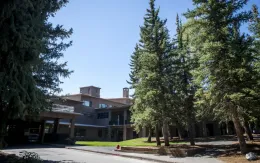 Hàng trăm người có thể đã phơi nhiễm bệnh dại từ dơi ở Công viên Grand Teton (Mỹ)