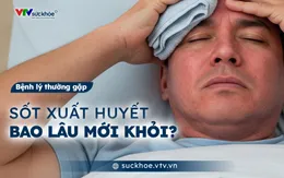 Sốt xuất huyết bao lâu mới khỏi?