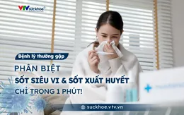 Phân biệt sốt siêu vi và sốt xuất huyết