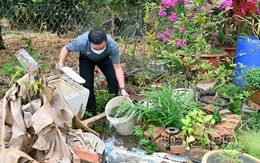 Đồng Nai tăng cường phối hợp liên ngành phòng chống sốt xuất huyết