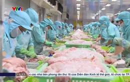 Tổng điều tra kinh tế từ 5/1/2026