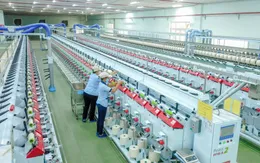 Xây dựng khung tiêu chí xuất xứ hàng hóa: Bước đi chiến lược bảo vệ thương hiệu Việt