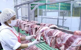 Giá thịt lợn giảm mạnh