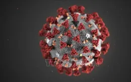 COVID-19 có thể khiến mạch máu phụ nữ lão hóa nhanh trước 5 năm