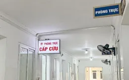 Bé gái 4 tuổi sốc phản vệ sau khi ăn nhộng ong