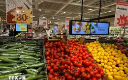 Kinh tế Eurozone khởi sắc trong tháng 8