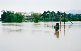 “Phao cứu sinh” mùa lũ