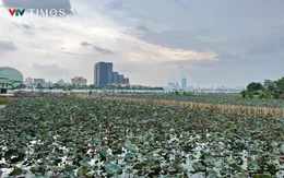 Công nhân gấp rút cải tạo hồ Sen, chuẩn bị “hồi sinh” dòng chảy về hồ Tây