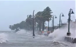 Vùng áp thấp khả năng đi vào Biển Đông sáng 23/8