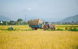 Mùa gặt "vàng" ở miền đất võ