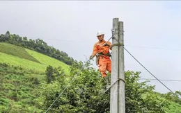 Ứng phó bão số 5: Điện lực miền Bắc kích hoạt phương án "4 tại chỗ"