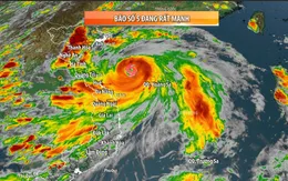 Bão số 5 có thể mạnh tương đương siêu bão Yagi