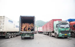 Tăng giám sát chủ động, tối ưu hóa giao thương biên giới