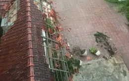 Đường dây nóng hỗ trợ sự cố y tế do bão số 5 trên địa bàn tỉnh Hà Tĩnh