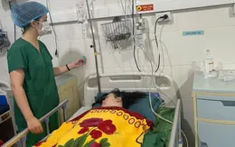 Giữa tâm bão Kajiki, sự sống được giữ lại bằng những giọt máu hồng