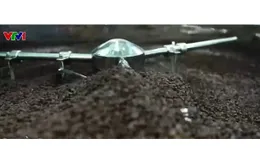 Doanh nghiệp xuất khẩu nông sản gặp khó vì quy định hoàn thuế