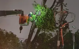 Hơn 1,6 triệu khách hàng vẫn bị mất điện do bão số 5