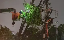 Khẩn trương xử lý sự cố, khôi phục cấp điện cho nhân dân sau bão số 5