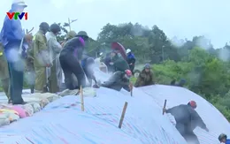 Nhiều tuyến đê sụt lún, 3 điểm dân cư ở Thanh Hóa bị cô lập do ảnh hưởng bão số 5