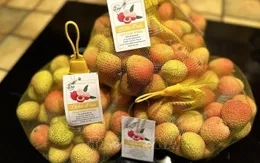 Thúc đẩy điều kiện xuất khẩu vải thiều sang Bắc Mỹ