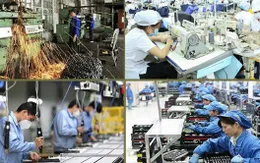 "Thời cơ vàng" để kinh tế tư nhân trở thành trụ cột kinh tế quốc gia