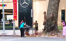 Hà Nội tăng cường chỉnh trang đô thị, vệ sinh môi trường phục vụ ngày lễ lớn